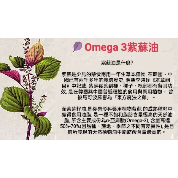🇩🇪德國百年草本聖伯納德 Sanct Bernhard 紫蘇油植物性魚油 Omega-3  膠囊150粒-細節圖2