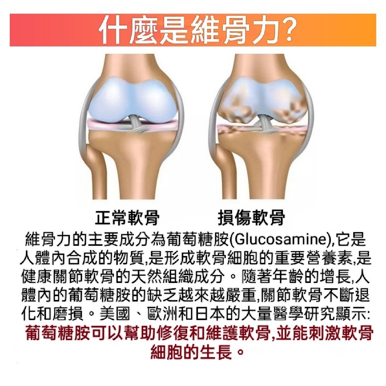 🇩🇪德國百年草本聖伯納德Sanct Bernhard關節靈~膠原蛋白氨基葡萄糖和軟骨素骨關節保護膠囊240粒-細節圖5