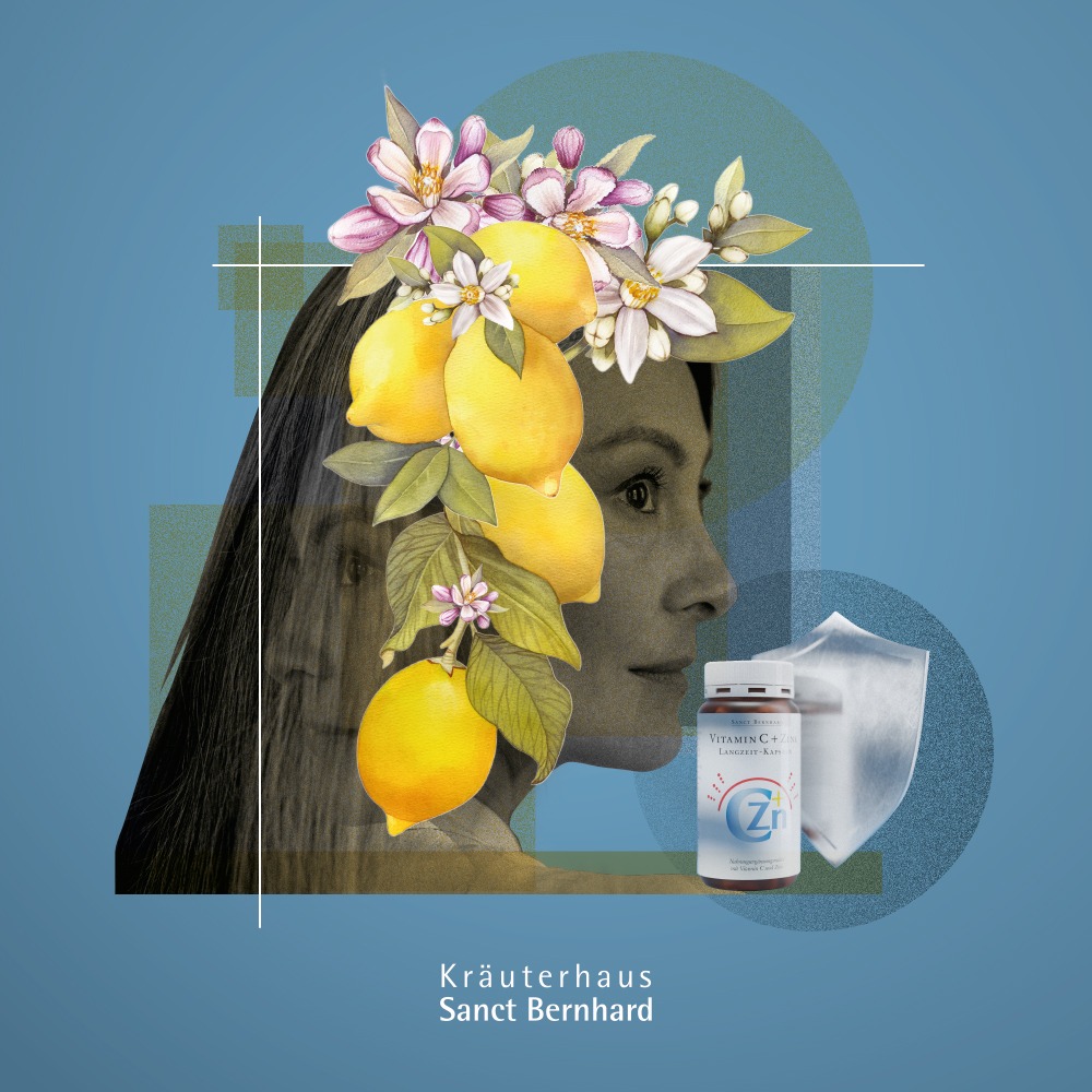 🇩🇪德國百年草本聖伯納德Sanct Bernhard 維生素C+鋅長效緩慢釋放膠囊 膠囊 180粒半年用量-細節圖7