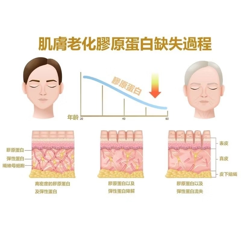 🇩🇪德國百年草本聖伯納德Sanct Bernhard膠原蛋白全效護理霜/護手霜 125ml     效期202607-細節圖7