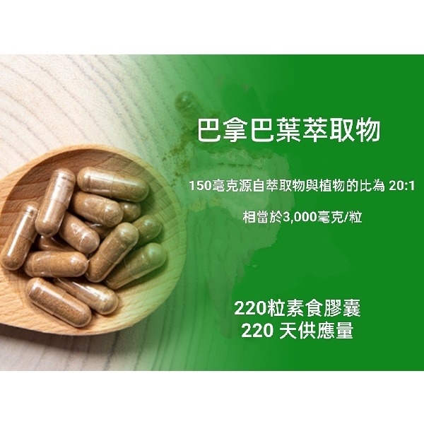 美國NusaPure拿巴葉萃取3000mg 220粒素食非基改含2% 科羅索酸-細節圖2