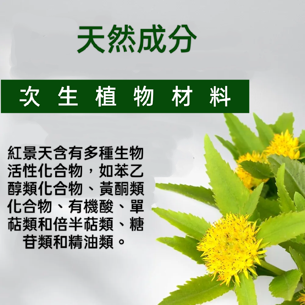 🇩🇪德國百百年草本聖伯納德Sanct Bernhard 紅景天（玫瑰根）膠囊120粒-細節圖7