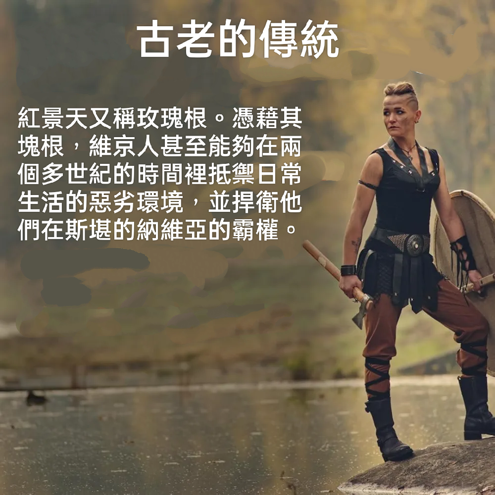 🇩🇪德國百百年草本聖伯納德Sanct Bernhard 紅景天（玫瑰根）膠囊120粒-細節圖8