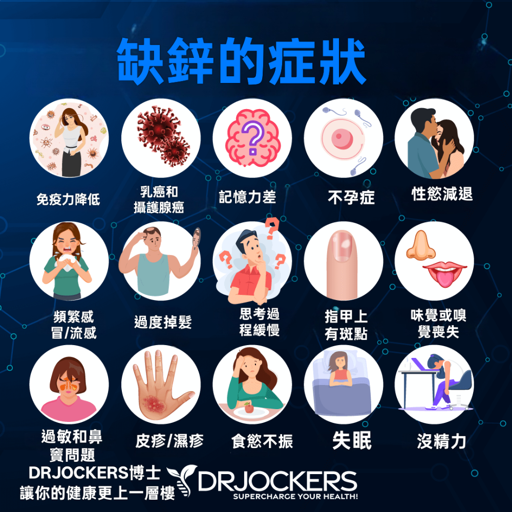 🇩🇪德國百年草本聖伯納德Sanct Bernhard鋅10mg素食可 210錠7個月用量-細節圖2