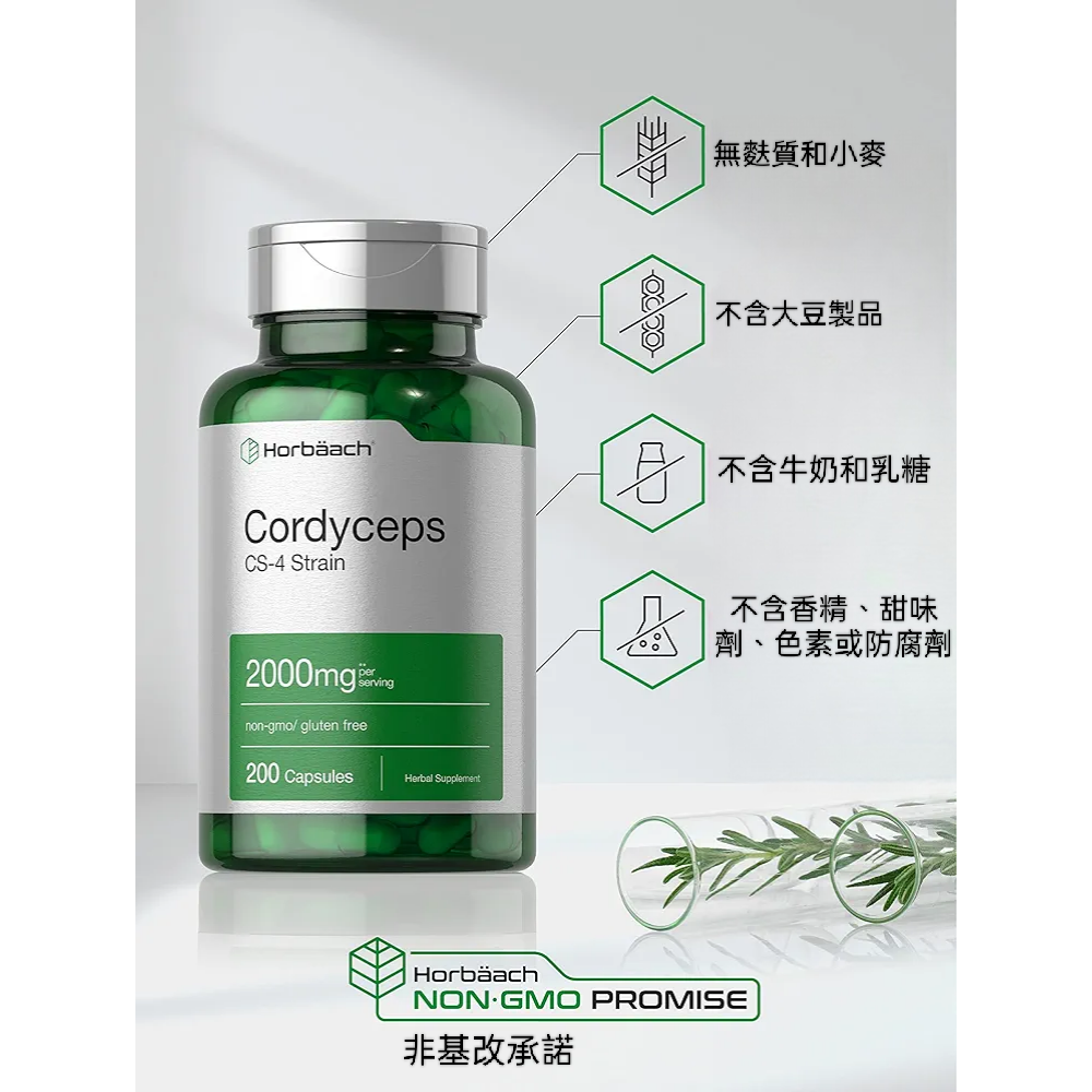 美國Horbäach霍爾巴赫CS-4 株冬蟲夏草2000mg高濃度蟲草萃取200粒素食非基改無麩質｜草本保健首選1-細節圖2