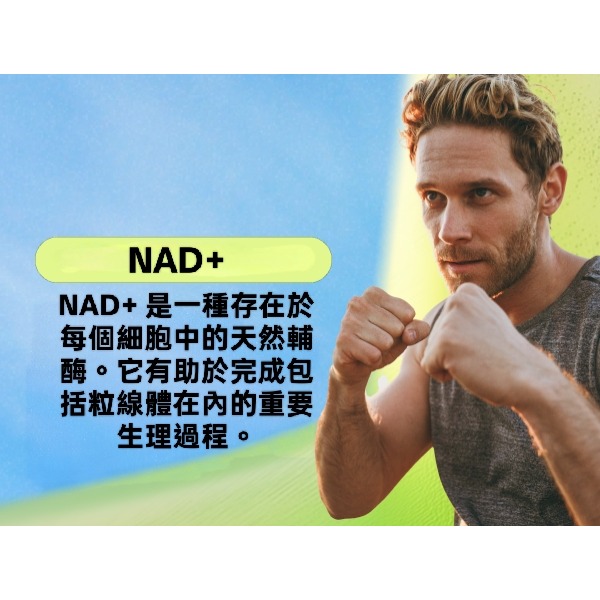 美國Cata-Kor卡塔科爾脂質體NAD+補充劑含白藜蘆醇(NMN替代品)經第三方檢測60顆-細節圖5