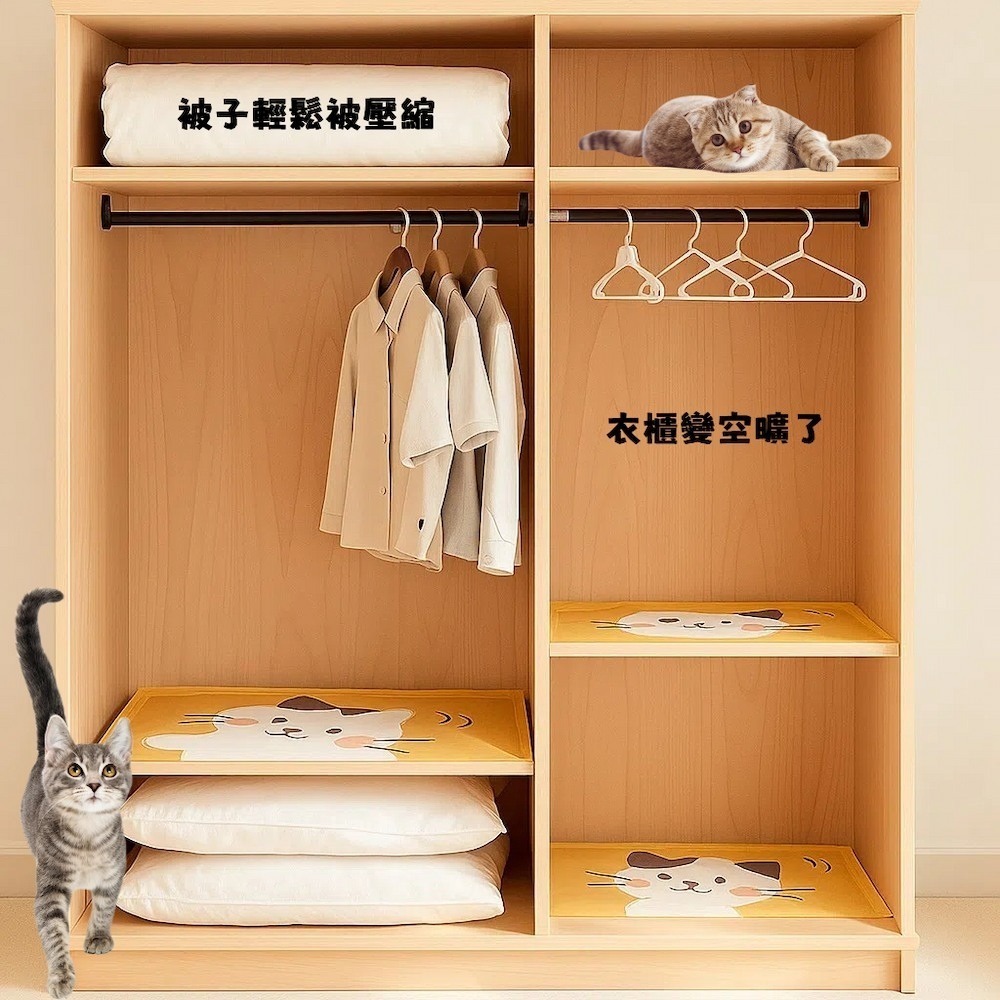 【A&R】六入組 喵趣真空加厚壓縮袋 100x80cm×2、100x70cm×2、80x56cm×2-細節圖3
