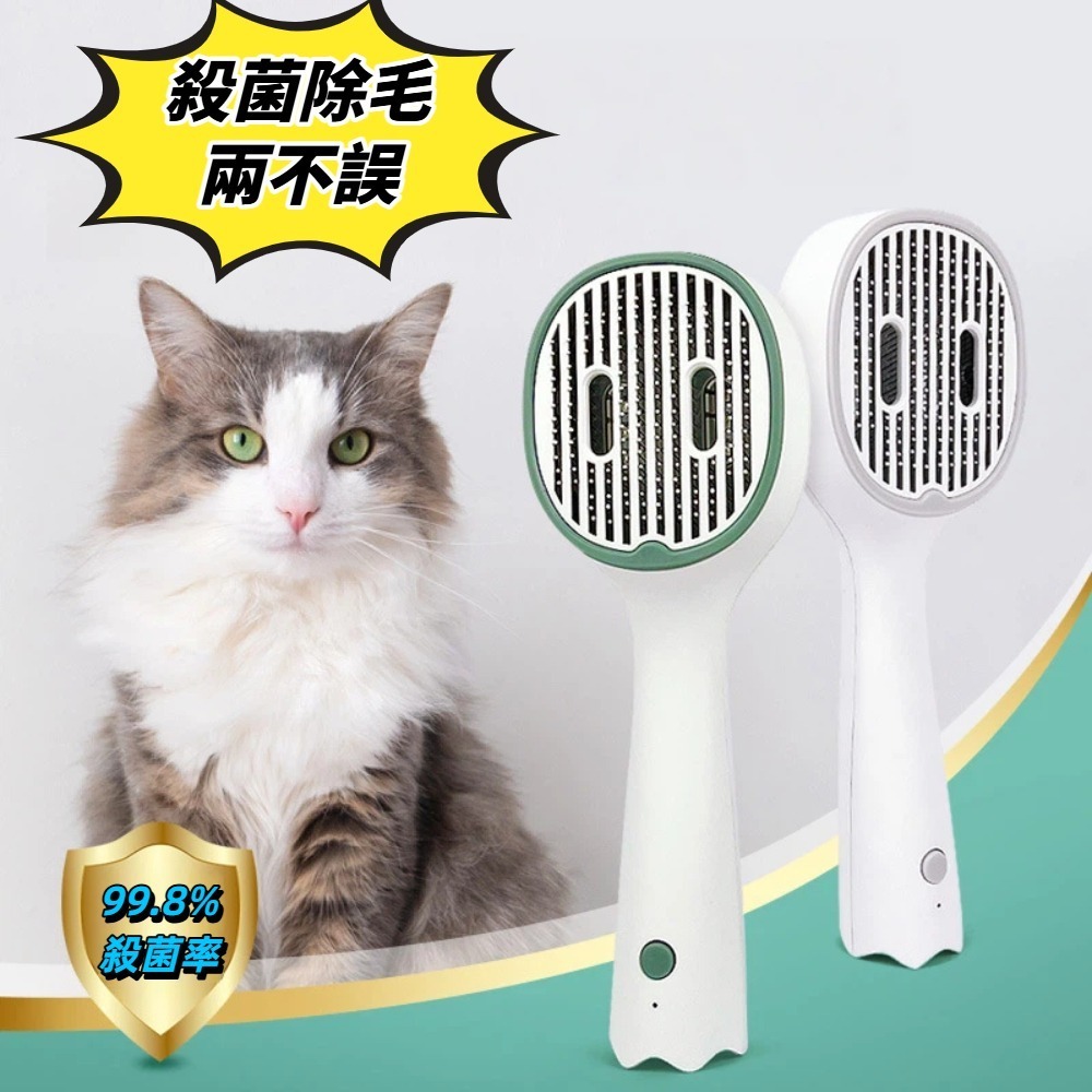 【A&R】毛孩UVC光殺菌除毛梳 兩色任選(貓狗通用 99.8%殺菌率 除蟎 梳毛刷 浮毛梳 USB充電)-細節圖2