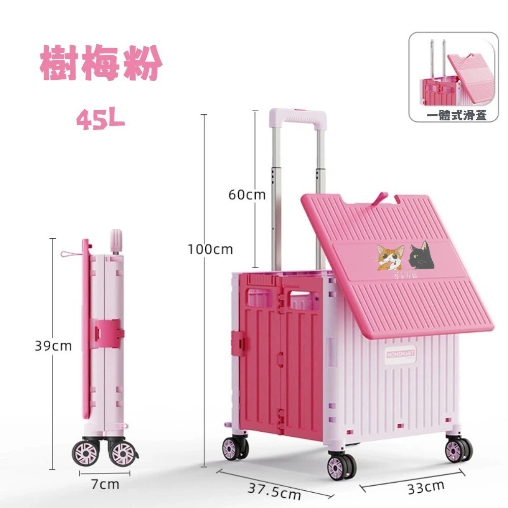 45L 樹梅粉