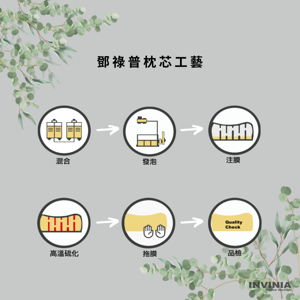 ININIA Home Design 100%泰國製造  天然乳膠女士枕-細節圖4