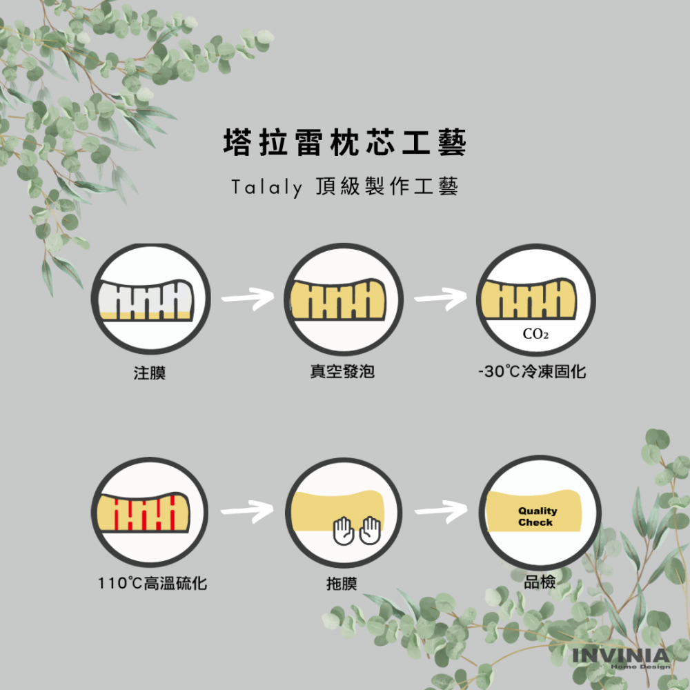 ININIA Home Design 100%泰國天然 頂級塔拉雷乳膠波浪枕-細節圖6