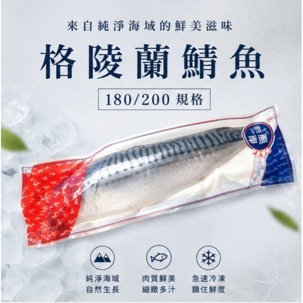 挪威/格陵蘭 鯖魚片｜大片．低溫急速冷凍．居家料理推薦-細節圖2
