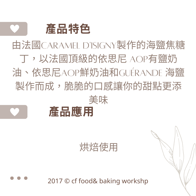 【台灣巧婦】法國 依思尼 海鹽焦糖丁｜ 甜點夾餡／餅乾烘焙適用・200g-細節圖2