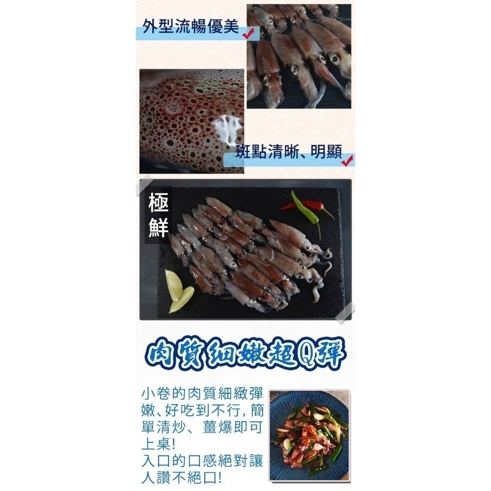 台灣 基隆 船凍生小卷｜ 口感軟嫩鮮甜．300g-細節圖3