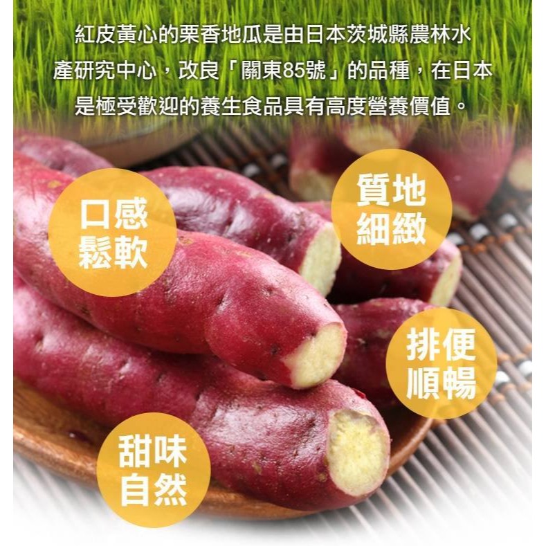特A級 日本品種 栗香地瓜-細節圖2
