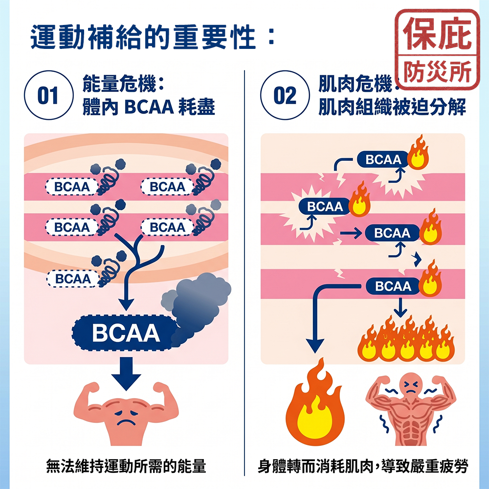 ｜保庇防災所｜補充蛋白質！魚肉胜肽錠 日本製 蛋白質營養錠 高蛋白 補充體力 登山露營 防災糧食 日本災害乾糧 補給錠-細節圖6