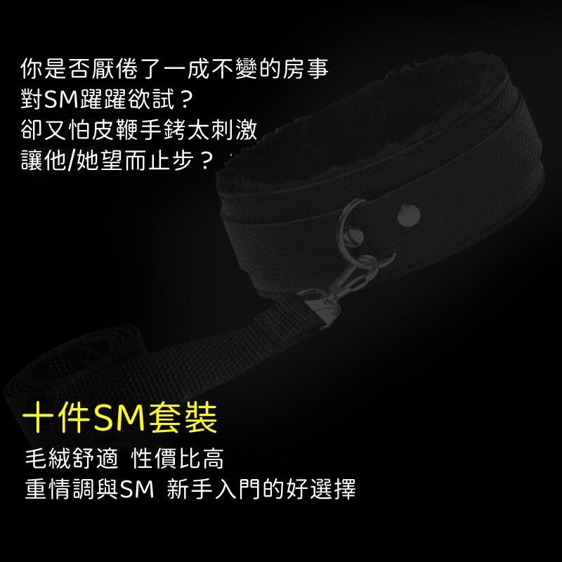 台灣現貨 SM十件套裝 現貨 性虐待 BDSM 情趣 綑綁 激情刺激 情趣用品 SM 性愛 性奴 調教 M 按摩棒 震動-細節圖3