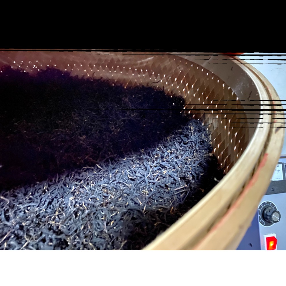 《世揚茗茶》阿里山頂級龍眼花果蜜紅茶-花果紅美人（小葉種紅茶）阿里山蜜香紅茶 冷泡茶 條索形紅茶-細節圖3