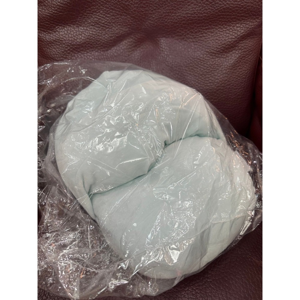 角落生物 角落小夥伴 蜥蜴 拖鞋造型娃娃 安倫款 玩偶 絨毛玩具 正版-細節圖2