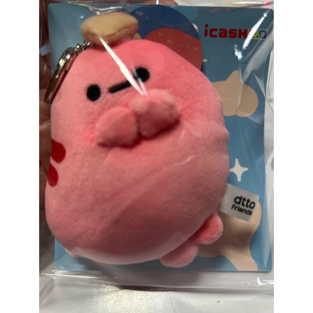 dtto friends (Hoya 好鴨、Saugus腸太郎）icash  每個$420元 馬上出貨 下標請備註款式-細節圖2