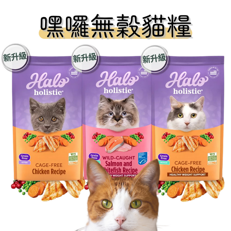 阿平好友社群 貓飼料福利品-細節圖3