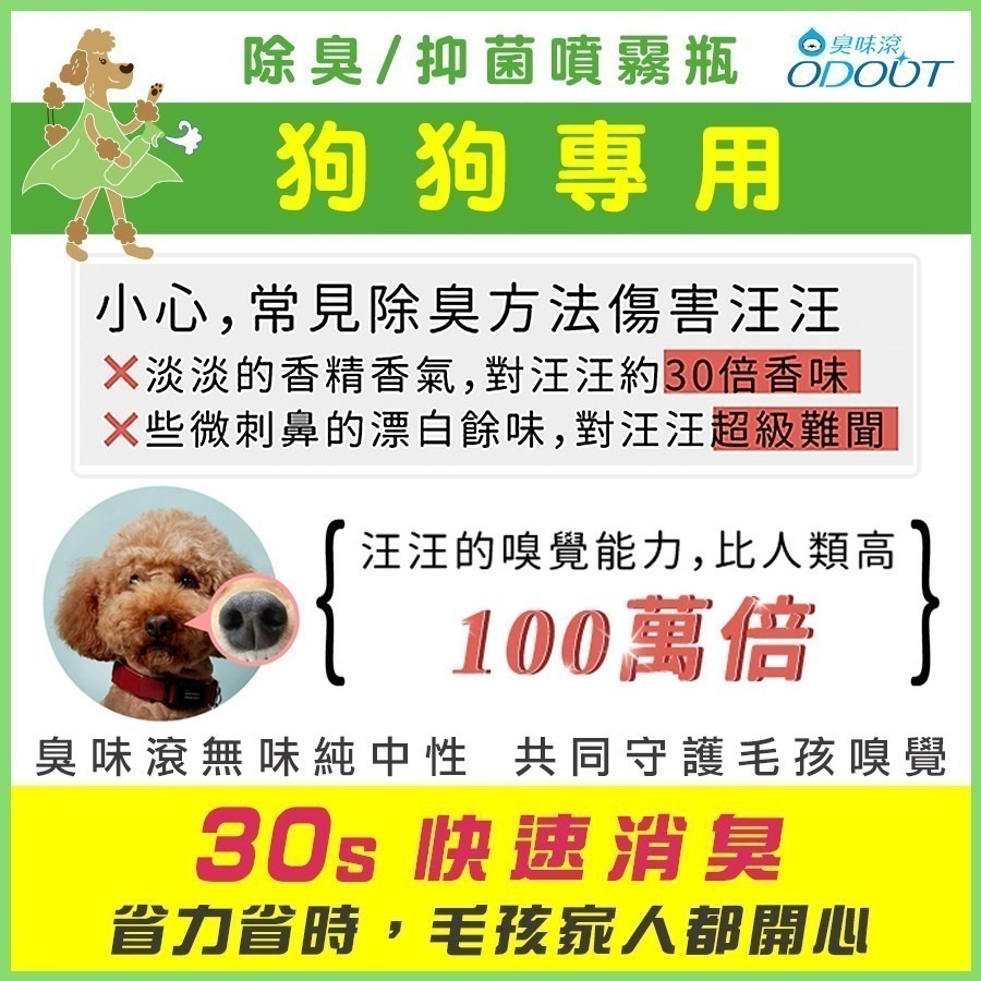 臭味滾 ODOUT 狗用 除臭抑菌噴霧補充瓶500ml 環境 除臭 清潔-細節圖3