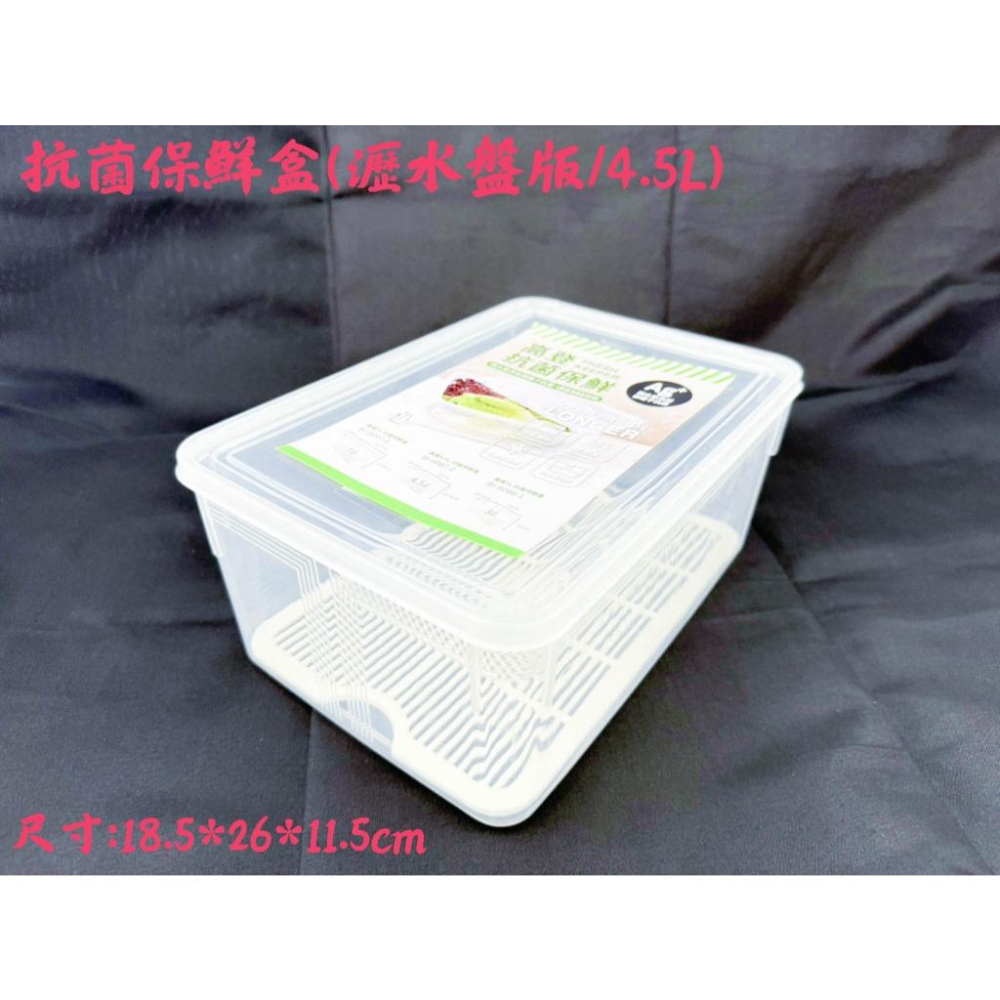 《物廉網》SGS檢驗合格 抗菌保鮮盒多尺寸可選 收納盒 蔬果 冷藏 瀝水 密封 儲物盒 瀝水 密封盒-細節圖9