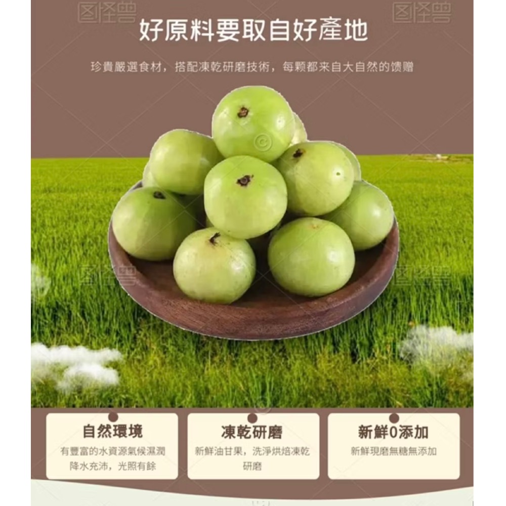 穩唐金三角-內含油甘果、山苦瓜、雪蓮子 新鮮現磨 採用獨家凍乾研磨技術 無糖無添加-細節圖3