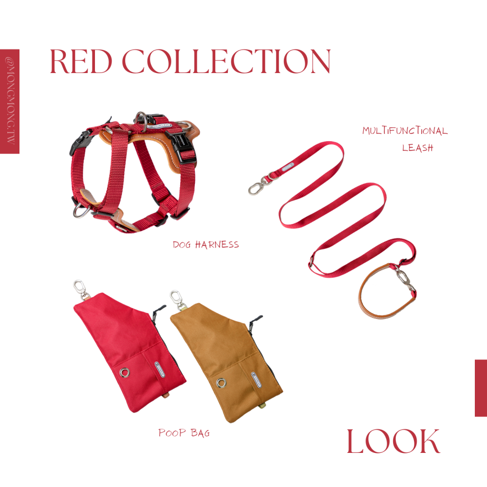 現貨 [ HiDREAM ]  🦮 皮革工型胸背-細節圖2