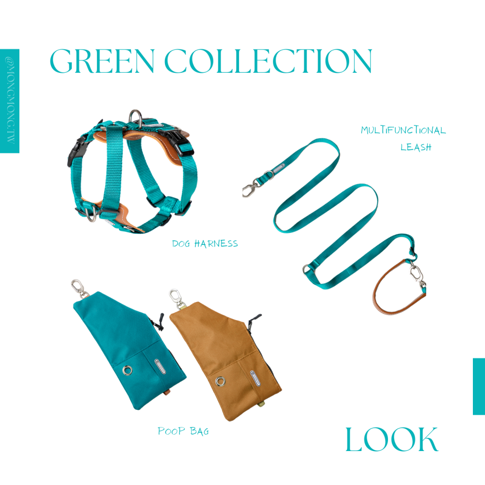 現貨 [ HiDREAM ]  🦮 皮革工型胸背-細節圖3