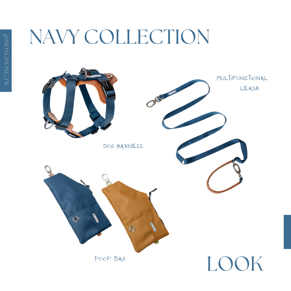 現貨 [ HiDREAM ]  🦮 皮革工型胸背-細節圖4