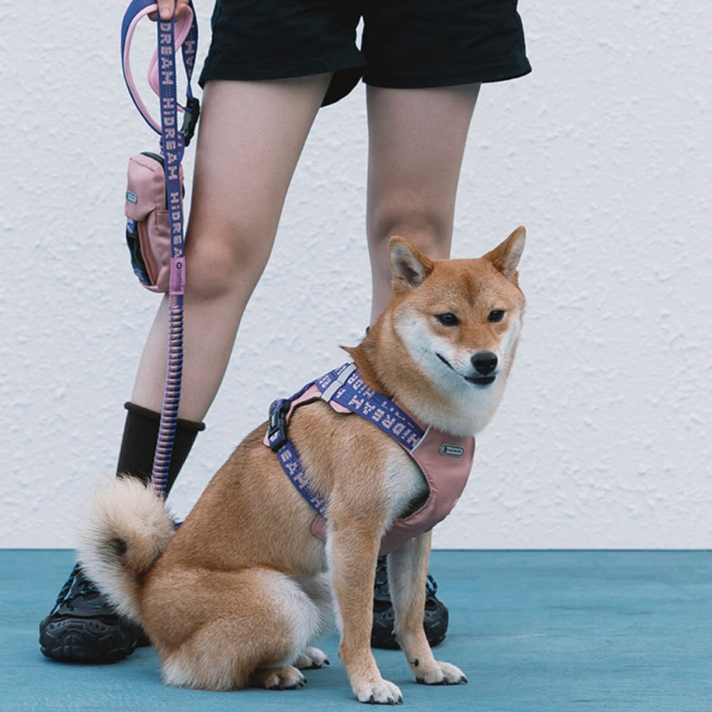 現貨 [ HiDREAM ]  🐕‍🦺 啵啵系列 背心式胸背-細節圖2