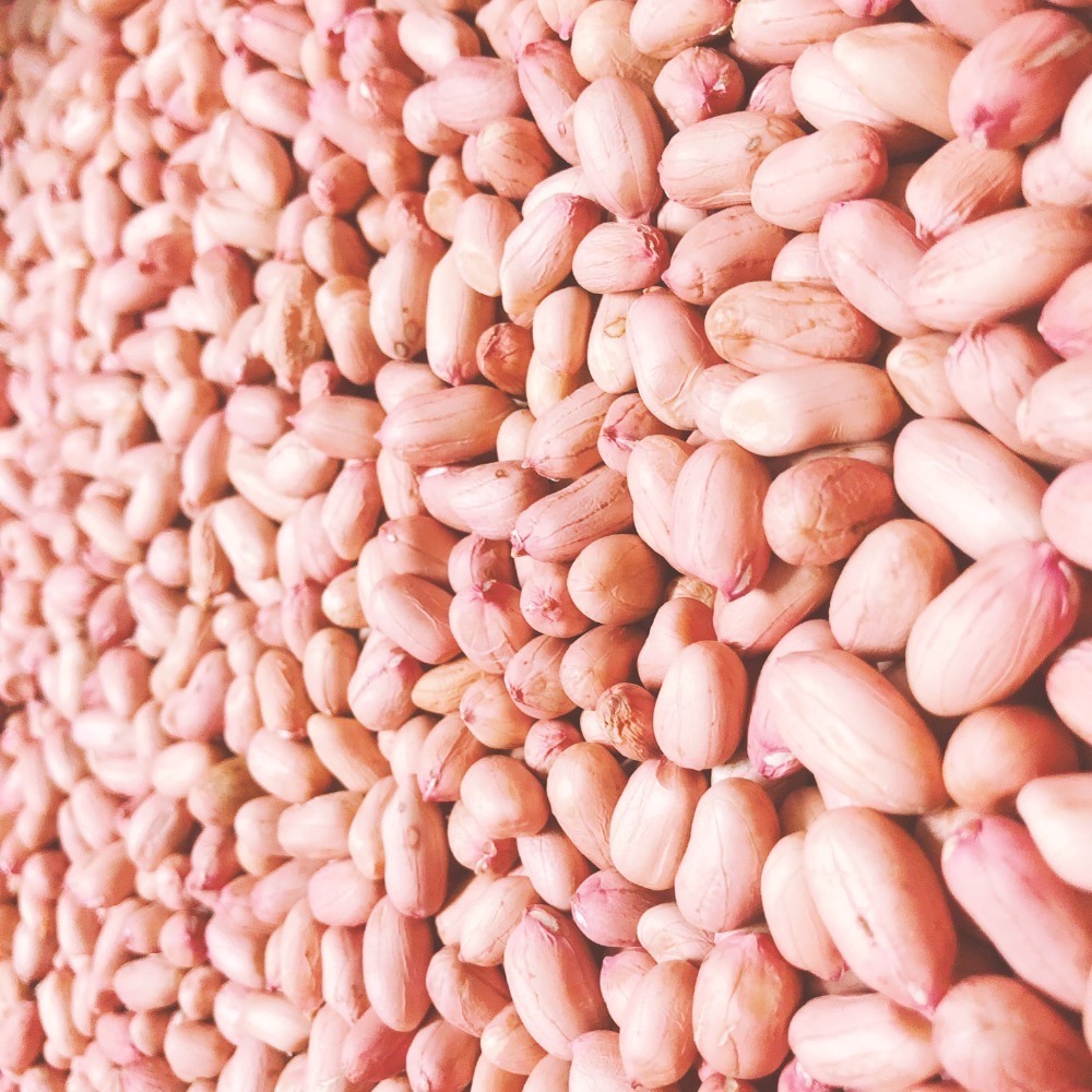 雲林生花生 精選大顆仁 9號花生 九號花生 14號花生-細節圖3