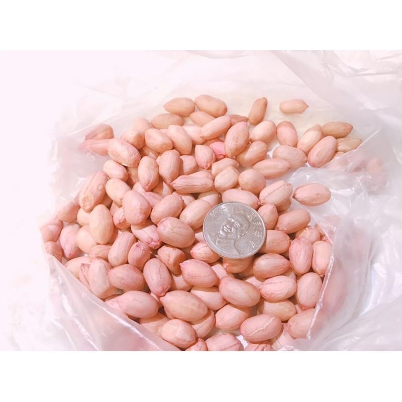 花生 雲林新9號生花生特選大顆 花生 [製作花生糖首選］生花生-細節圖4