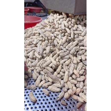 玫瑰紅仁 北港9號花生 （帶殼花生，現吃）鹽酥 花生 落花生 剝殼花生 黑金剛花生-細節圖5