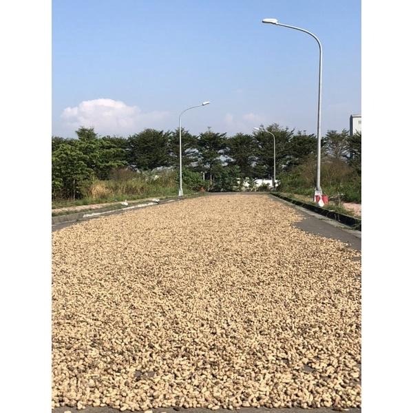北港9號花生（帶殼花生，現吃）鹽酥花生 落花生 剝殼花生 黑金剛花生-細節圖5
