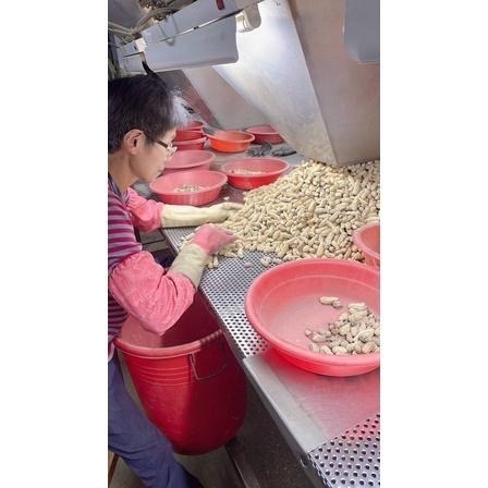 北港9號花生（帶殼花生，現吃）鹽酥花生 落花生 剝殼花生 黑金剛花生-細節圖7