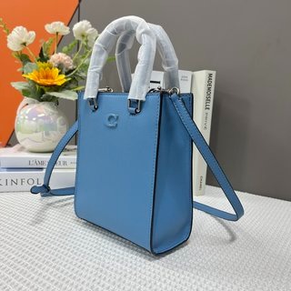Mini Tote  小琴谱包 整体色系都是非常适合炎炎夏日 包型是简约的琴谱包-細節圖5