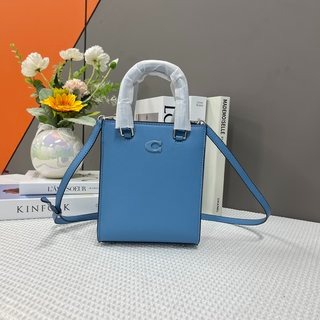 Mini Tote  小琴谱包 整体色系都是非常适合炎炎夏日 包型是简约的琴谱包-細節圖6