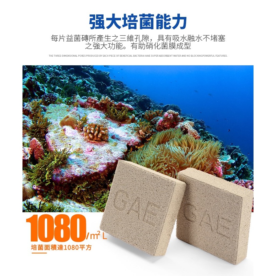【洪洋水族】🔥安全檢驗合格正品🔥GAE奈米科技益菌磚 台灣出貨 超強濾材 輕鬆養水 消除NO3 神磚-細節圖4