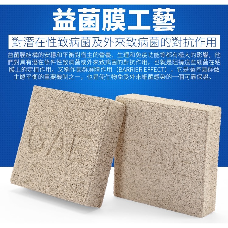 【洪洋水族】🔥安全檢驗合格正品🔥GAE奈米科技益菌磚 台灣出貨 超強濾材 輕鬆養水 消除NO3 神磚-細節圖7