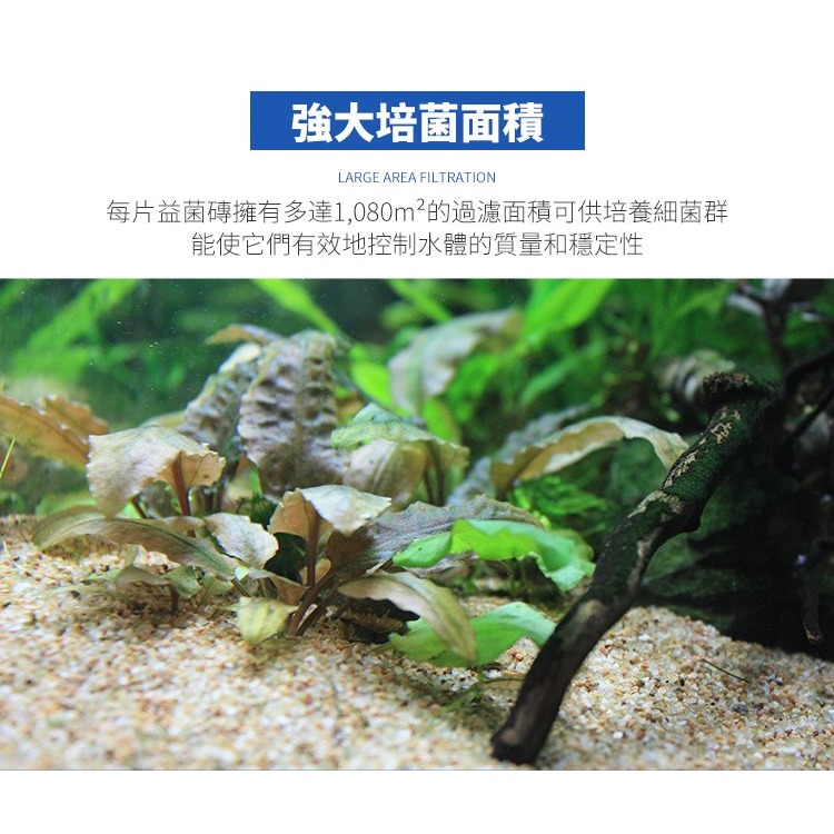 【洪洋水族】🔥安全檢驗合格正品🔥GAE奈米科技益菌磚 台灣出貨 超強濾材 輕鬆養水 消除NO3 神磚-細節圖10