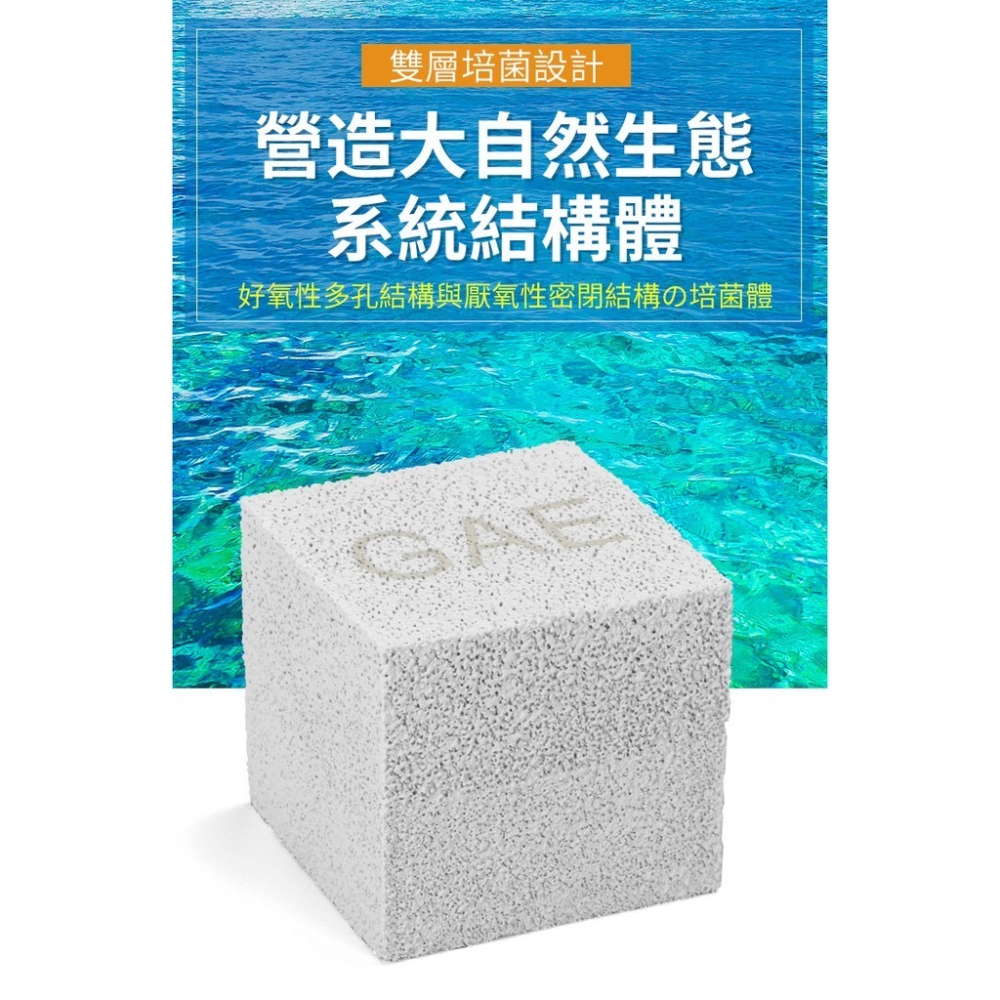 【洪洋水族】🔥GAE洪洋魔快氣密磚 台灣出貨🔥雙層培菌設計 建立硝化&反硝化系統 營造自然生態 厭氧菌 消NO3-細節圖2