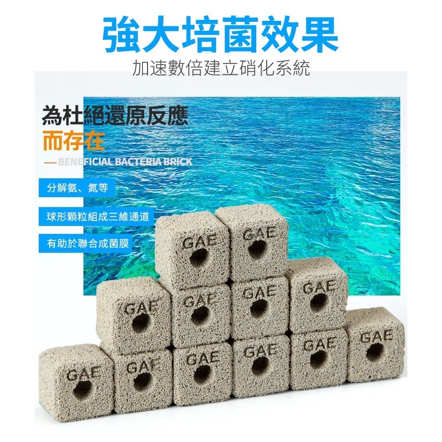【洪洋水族】🔥GAE奈米小方磚 台灣出貨🔥強大培菌效果 快速培養硝化菌 有效分解 氨/NO2/NO3-細節圖3