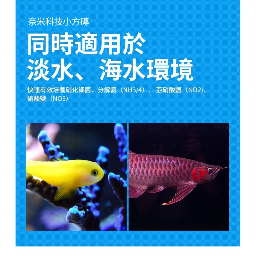 【洪洋水族】🔥GAE奈米小方磚 台灣出貨🔥強大培菌效果 快速培養硝化菌 有效分解 氨/NO2/NO3-細節圖5