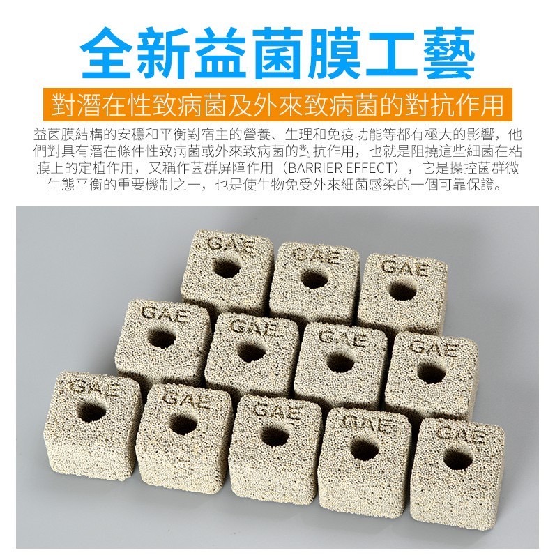 【洪洋水族】🔥GAE奈米小方磚 台灣出貨🔥強大培菌效果 快速培養硝化菌 有效分解 氨/NO2/NO3-細節圖6
