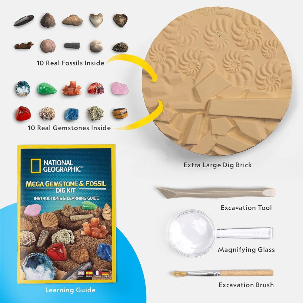 [全新在台現貨] National Geographic 國家地理 STEM 真正化石標本 寶石 挖掘 化石挖掘-細節圖4