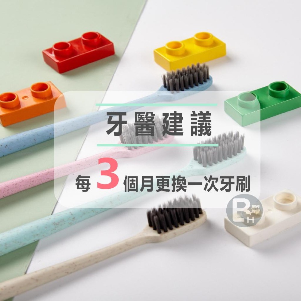 四色小麥軟毛牙刷 竹炭牙刷 小麥桔梗牙刷 日系 附收納盒 細軟 環保牙刷 便攜旅行 牙齒清潔 飯店牙刷 成人牙刷 護齦-細節圖7