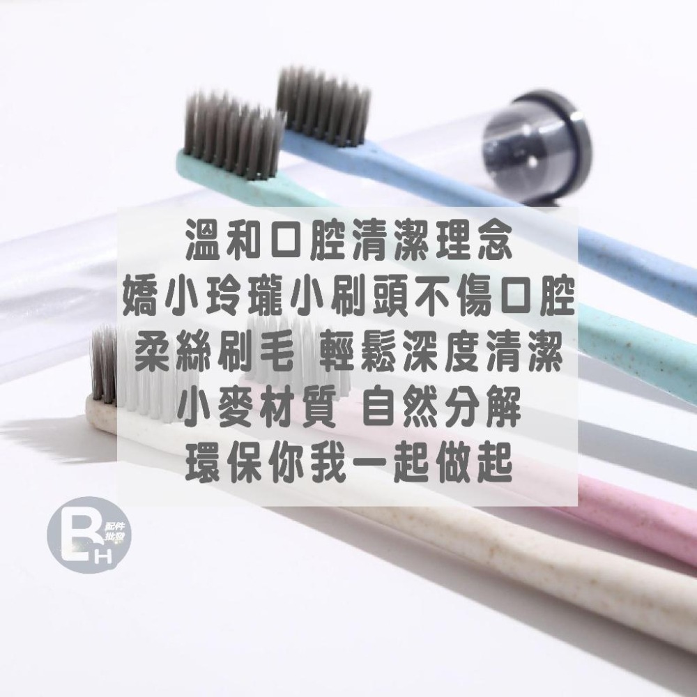 四色小麥軟毛牙刷 竹炭牙刷 小麥桔梗牙刷 日系 附收納盒 細軟 環保牙刷 便攜旅行 牙齒清潔 飯店牙刷 成人牙刷 護齦-細節圖8