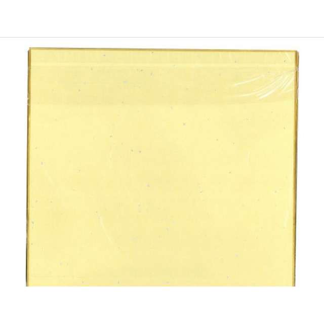 送透明保護套 全新品 小空白簽名板5張 日本製 12.1×13.6cm 簽名版 簽名板 色紙 畫仙板-細節圖2
